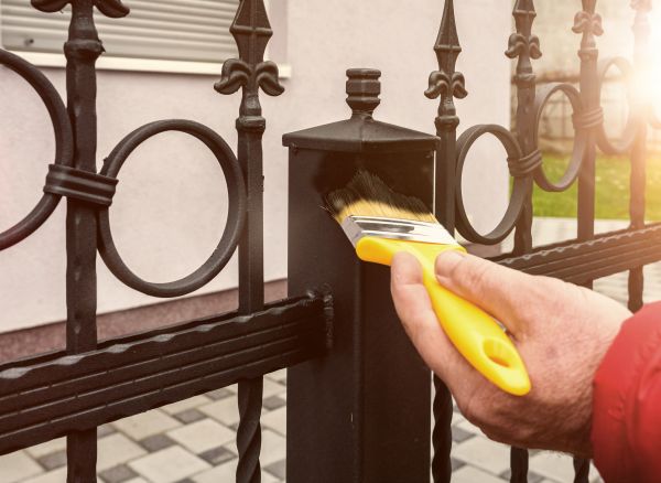 Iron Fence Painting