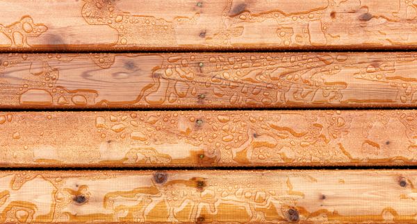 Deck Protection