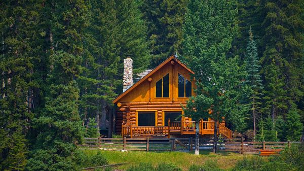 Cabin Staining