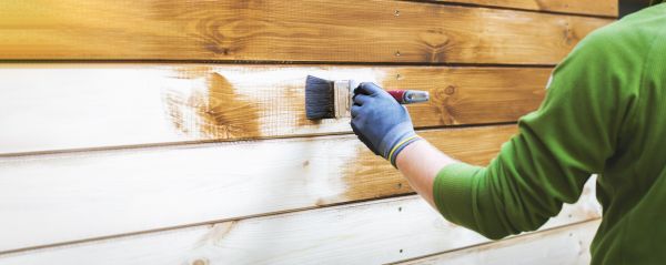 Exterior Siding Painting
