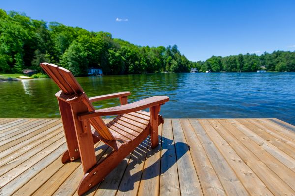 Dock Staining