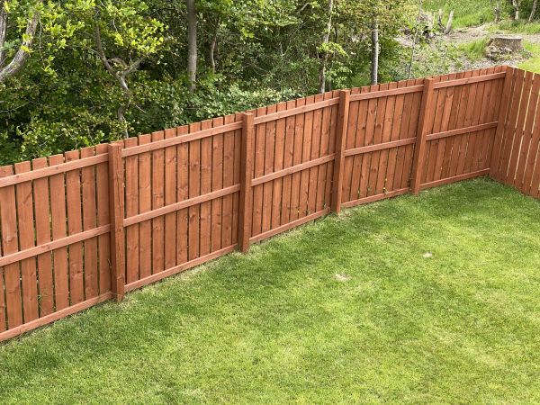 Cedar Fence Painting