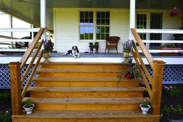 Exterior Steps Staining