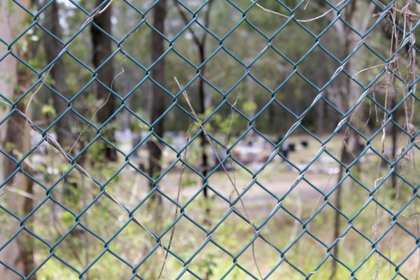 Wire Fence Refinishing