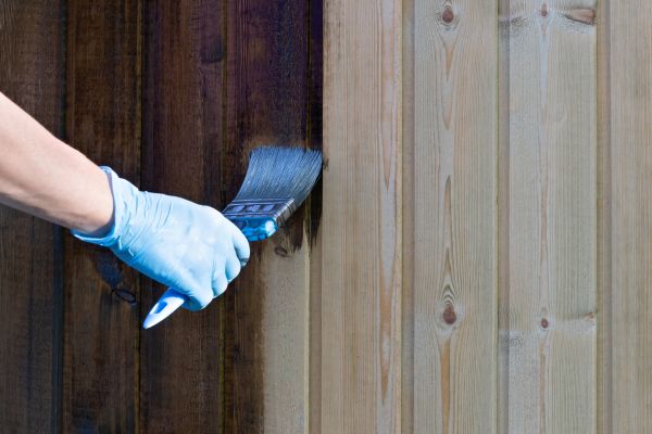 Residential Boundary Painting