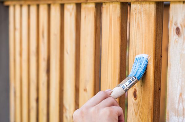 Protective Fence Painting