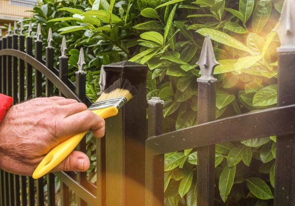 Galvanized Fence Painting
