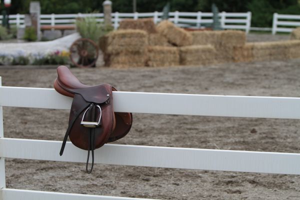 Equestrian Fence Painting