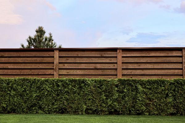 Pine Fence Staining