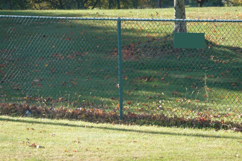 Chain Link Fence Painting