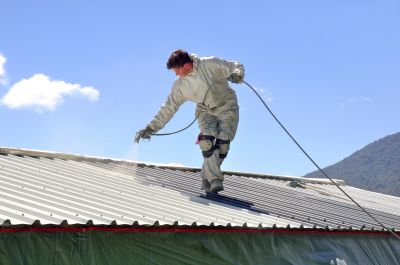 Roof Painting Service detail